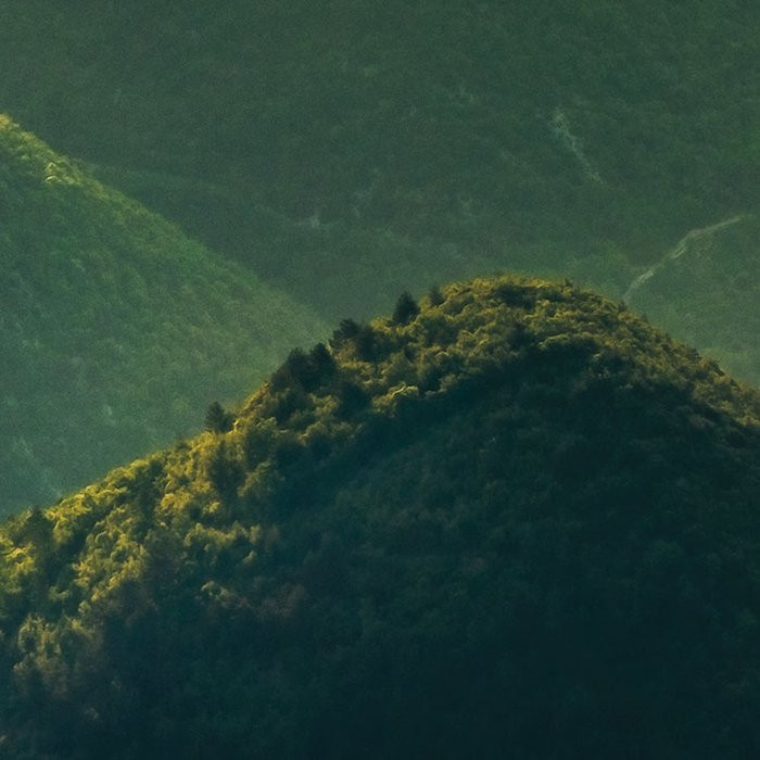 The Shire
