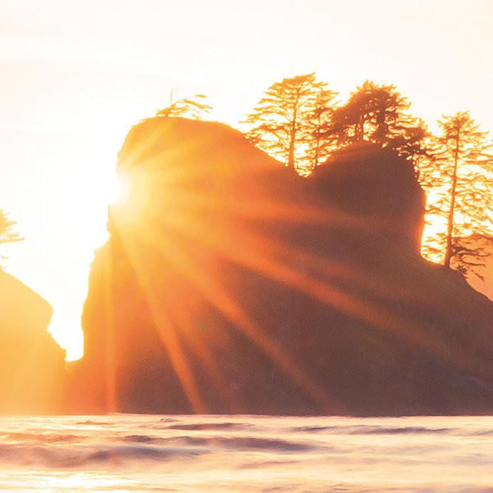 Island Dreaming
