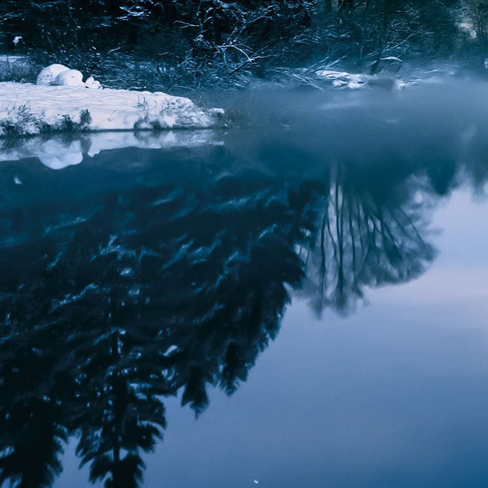 Glistening Stars