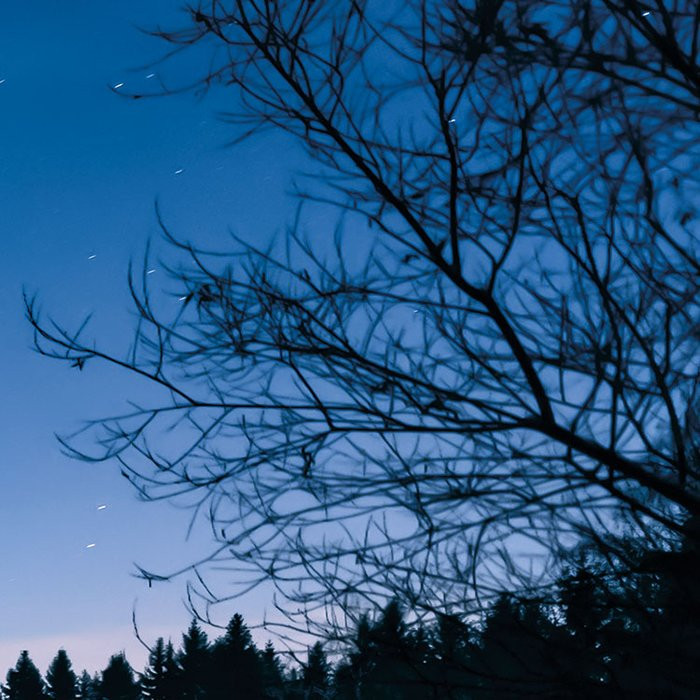 Glistening Stars