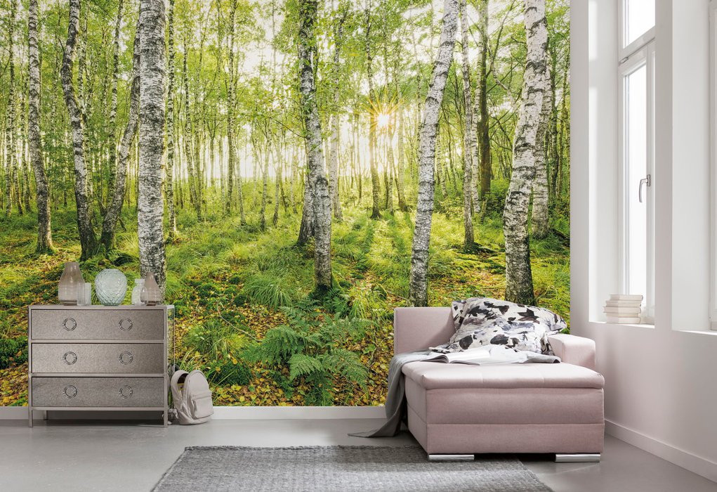 Birch Trees