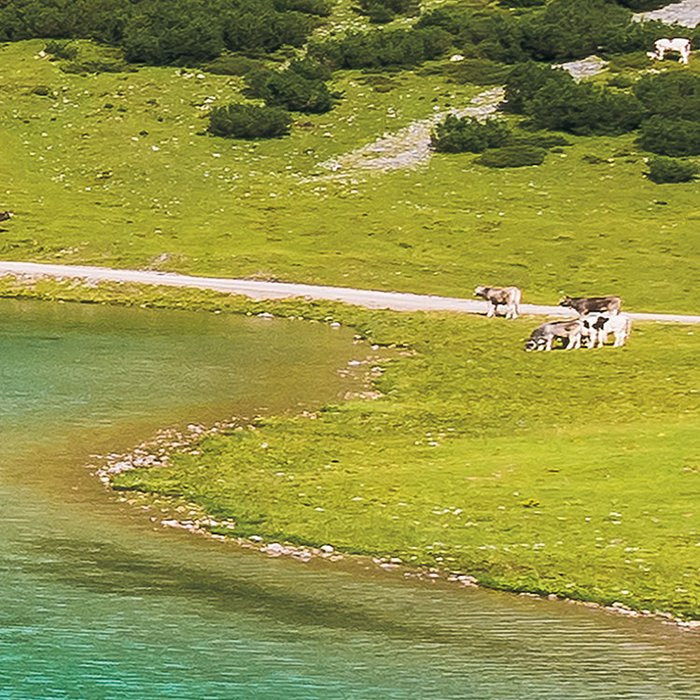 Paradise Lake