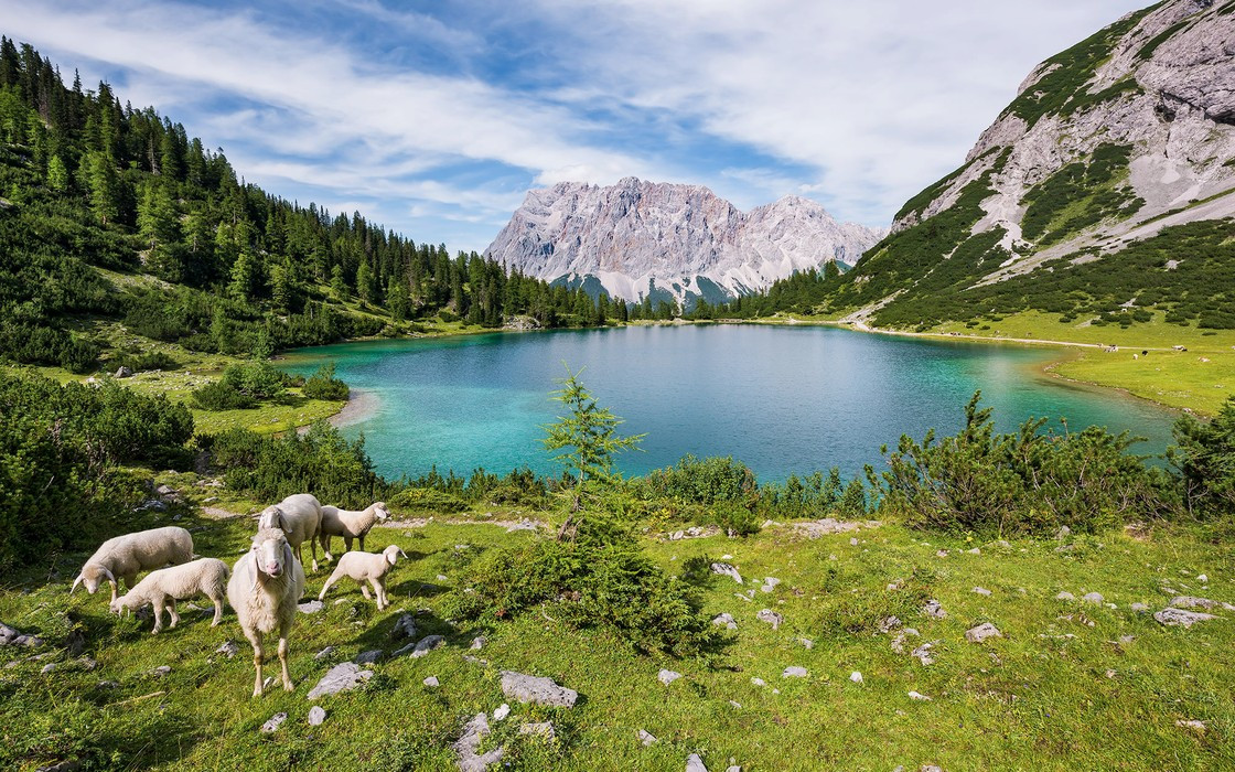 Paradise Lake