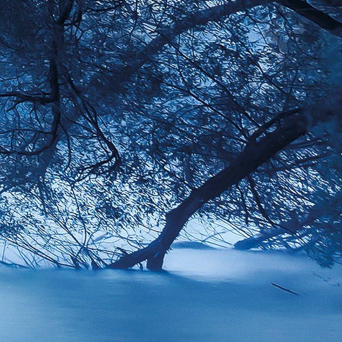 Blue Waters