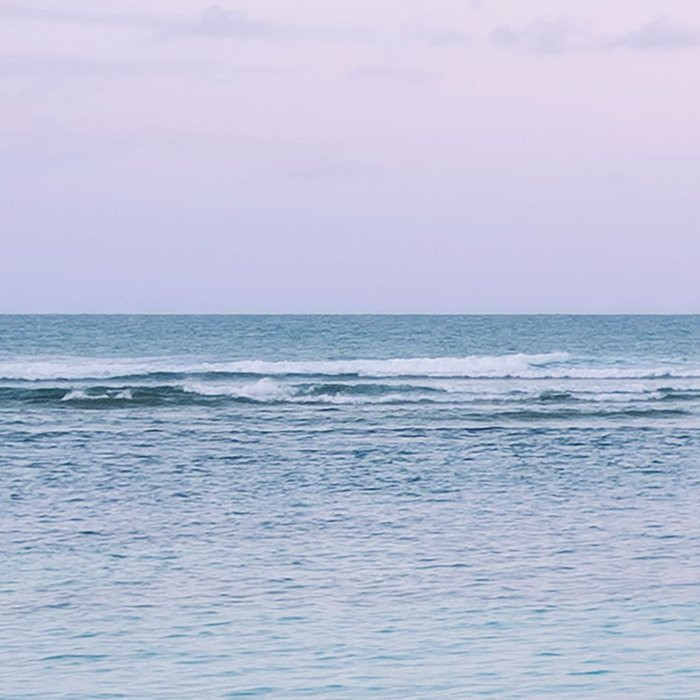 Paradise Morning