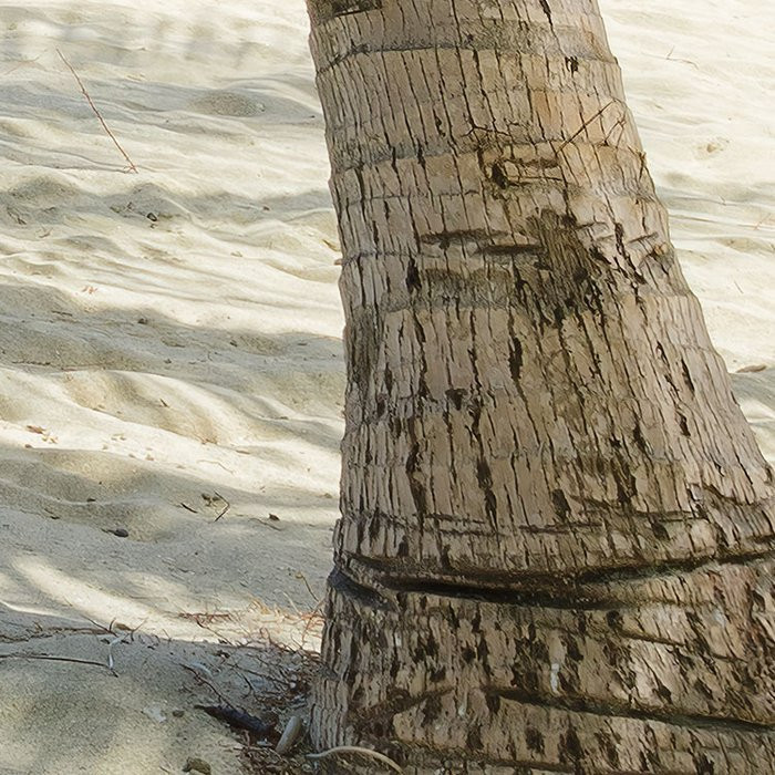 Palmy Beach