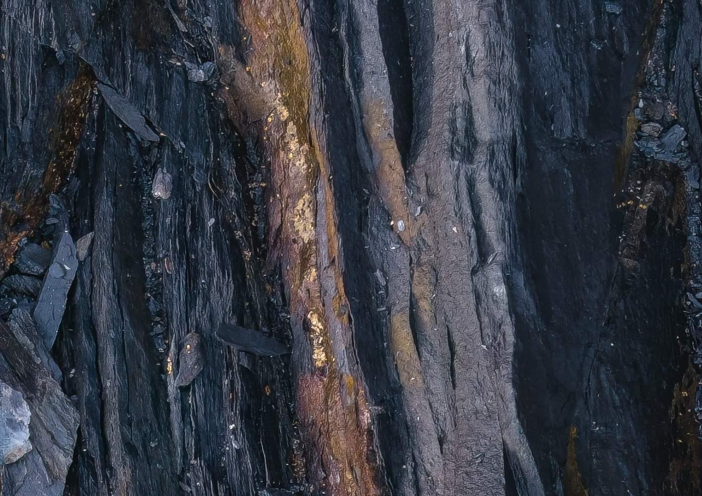Colors of Earth VII