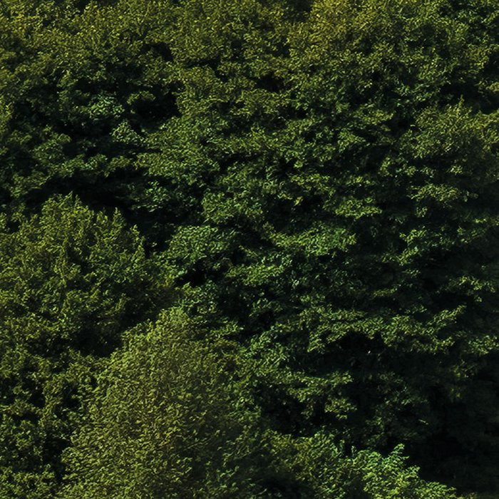 Bayrische Idylle