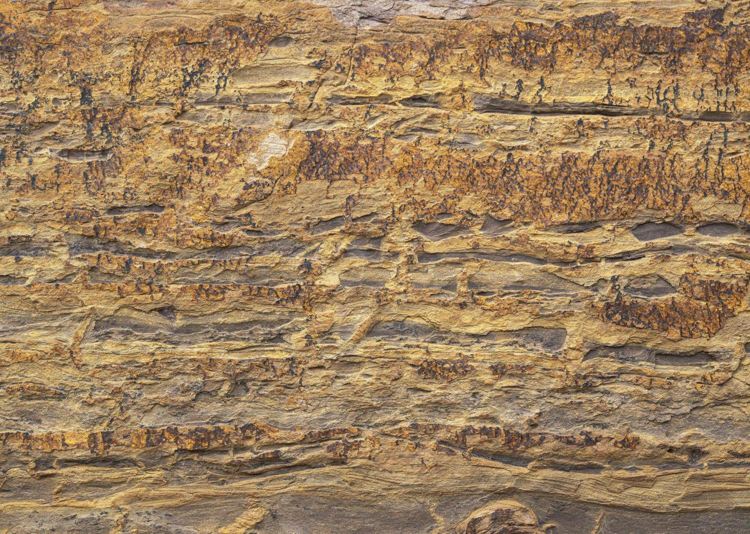 African Wall I