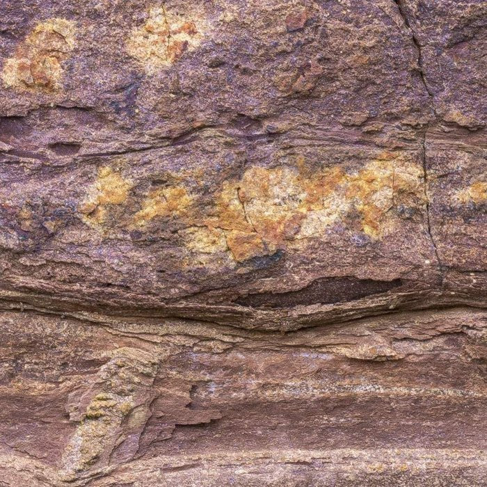 African Wall II