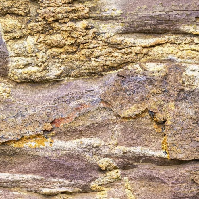 African Wall II