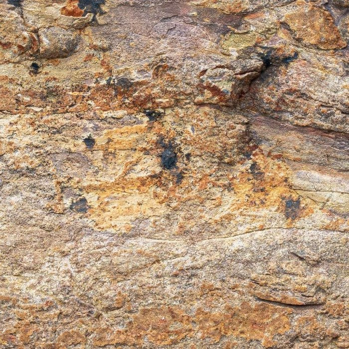 African Wall III