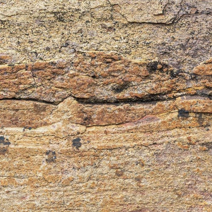 African Wall III