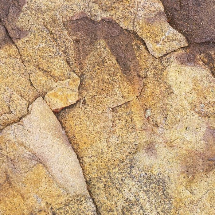 African Wall IV