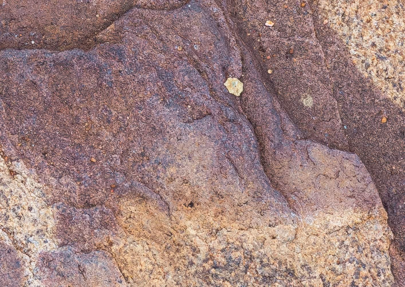 African Wall V