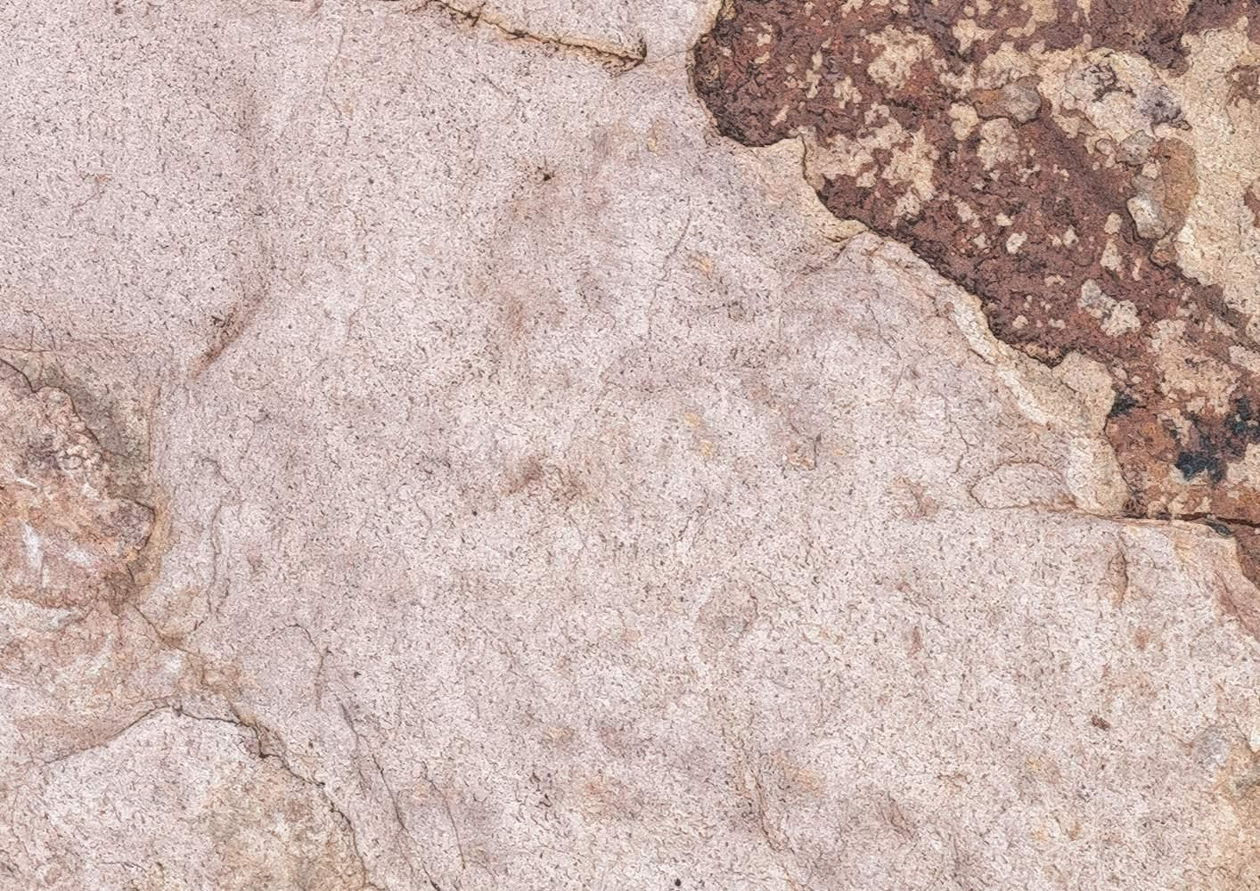 African Wall VII