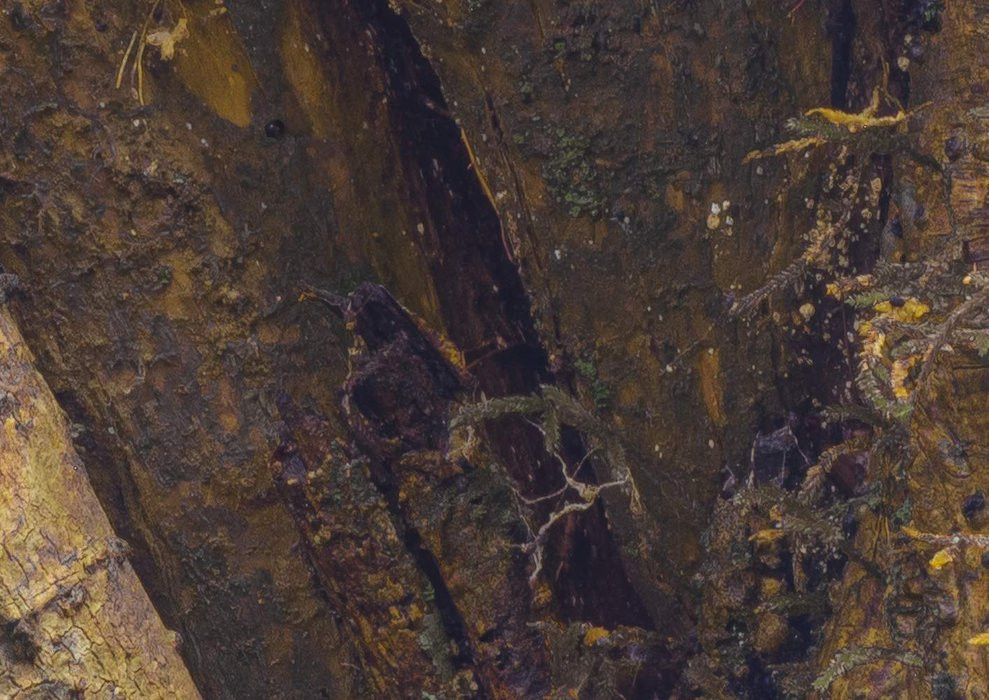 African Wall XII
