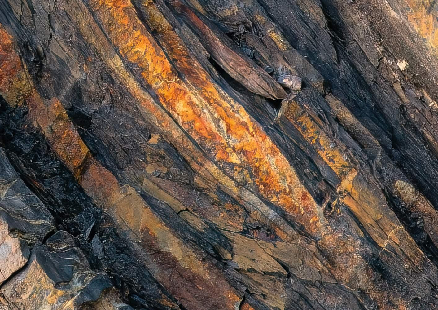 Colors of Earth IV