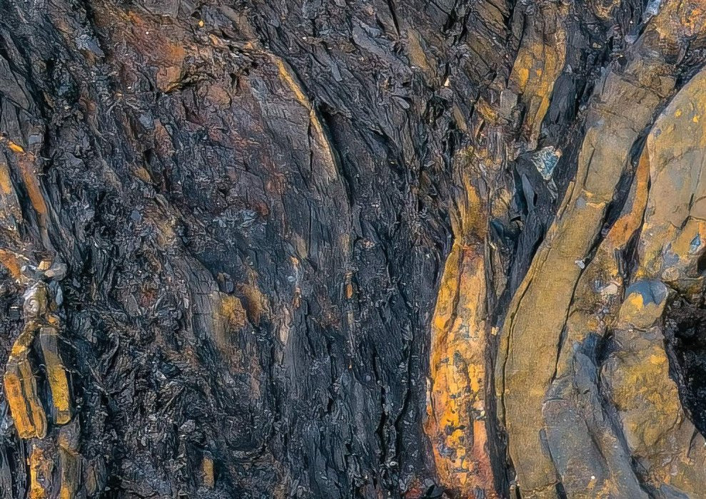 Colors of Earth V