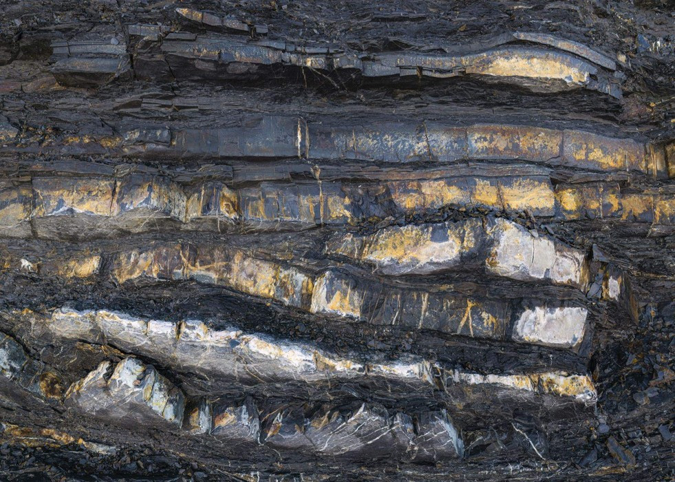 Colors of Earth VIII