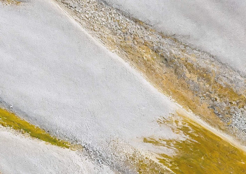 Golden Milk II
