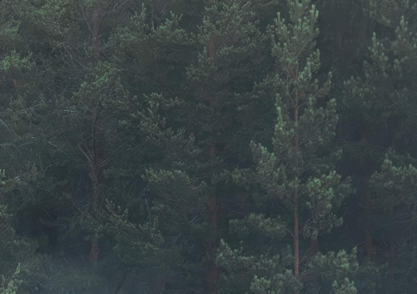 Scandi Wall