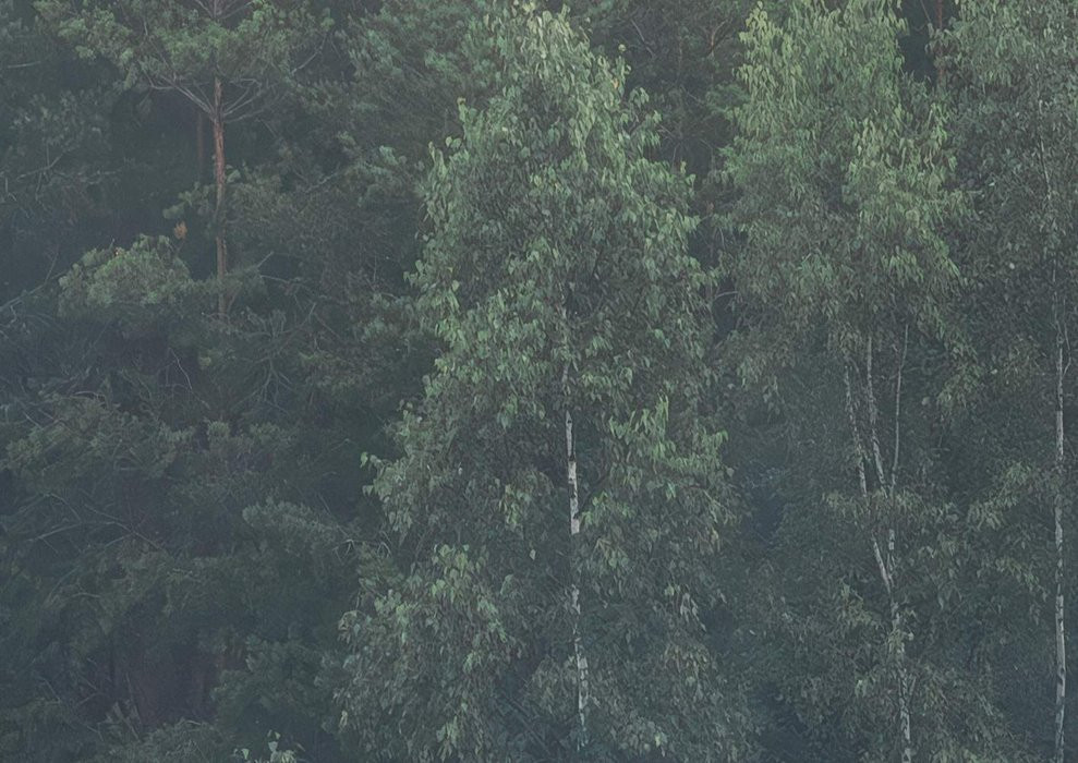 Scandi Wall