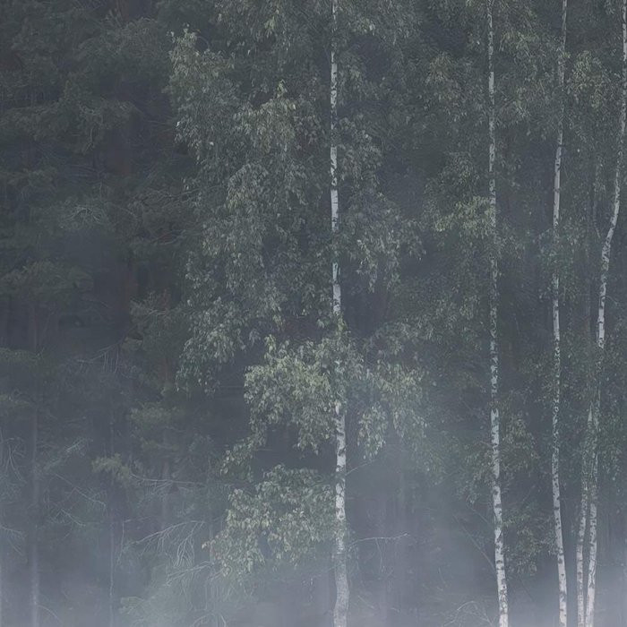Scandi Wall