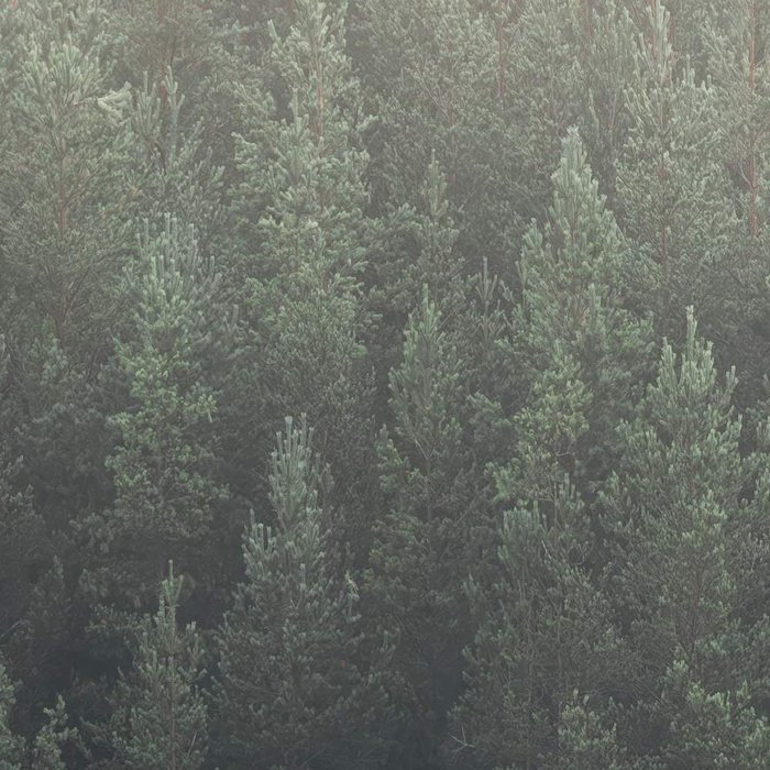 Scandi Wall