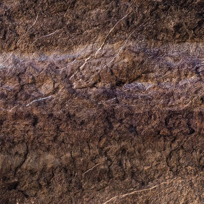 Secrets of the Desert V