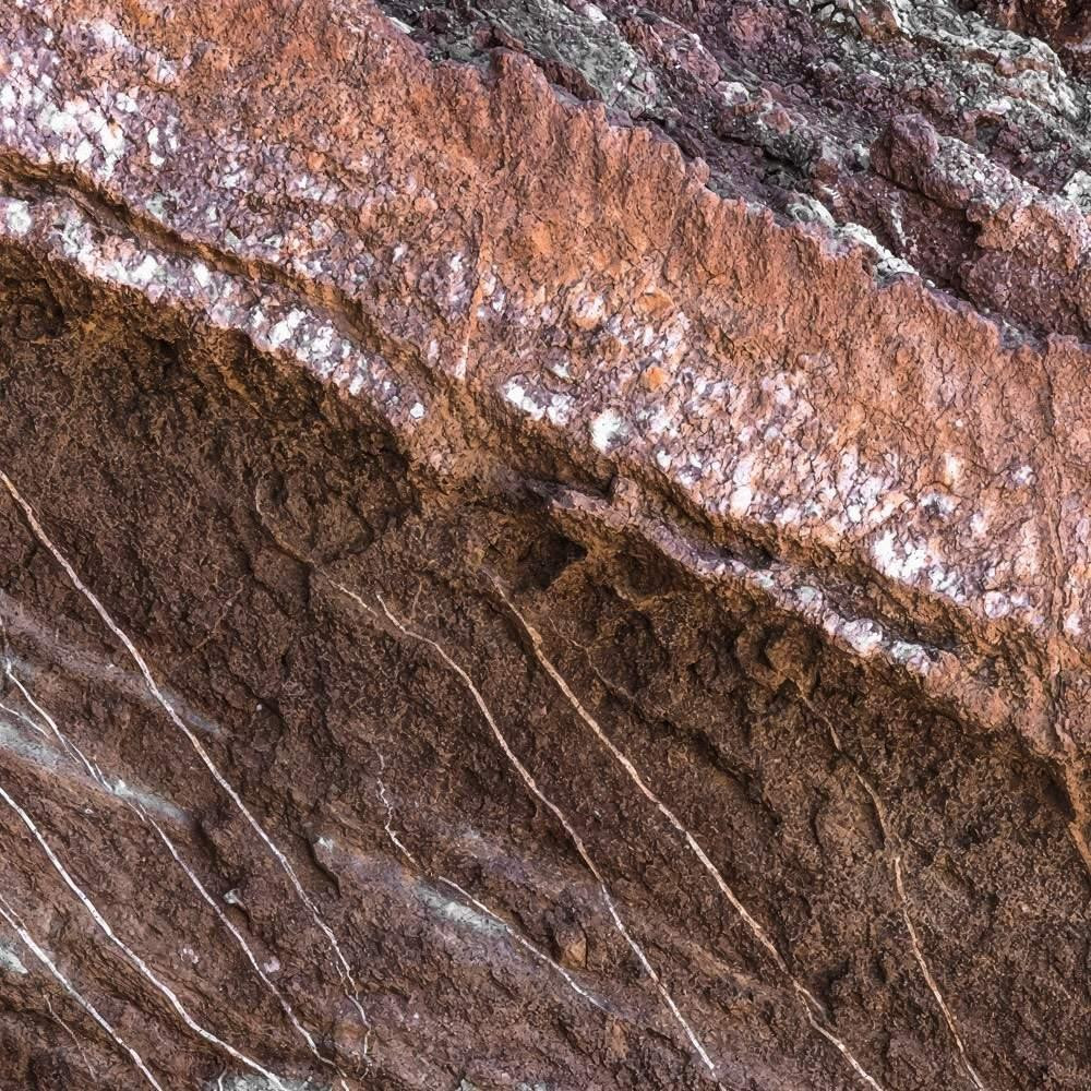 Secrets of the Desert VIII