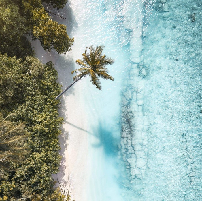 Touch of Bliss