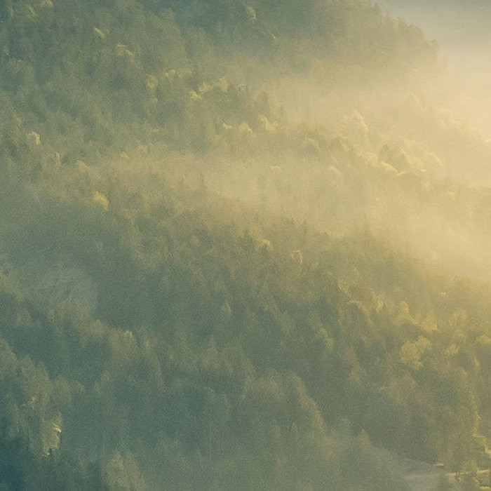 Gold Mountains