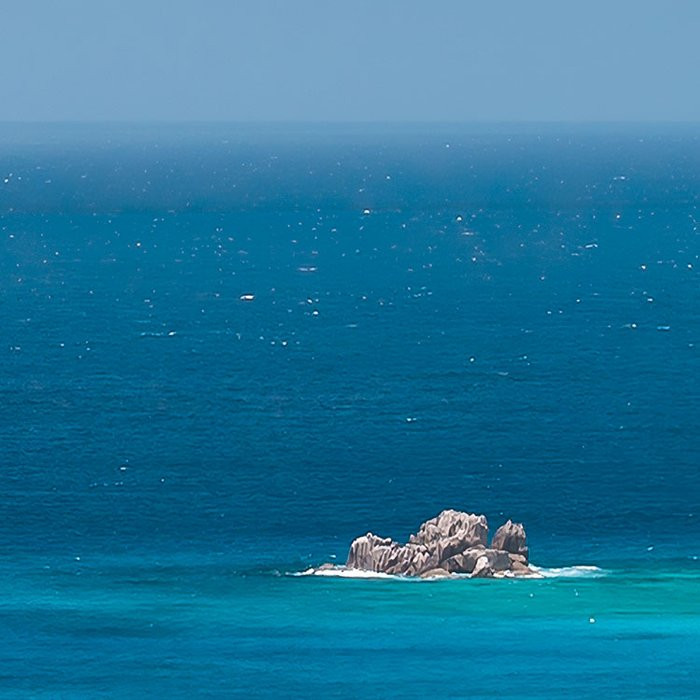 The Sea View