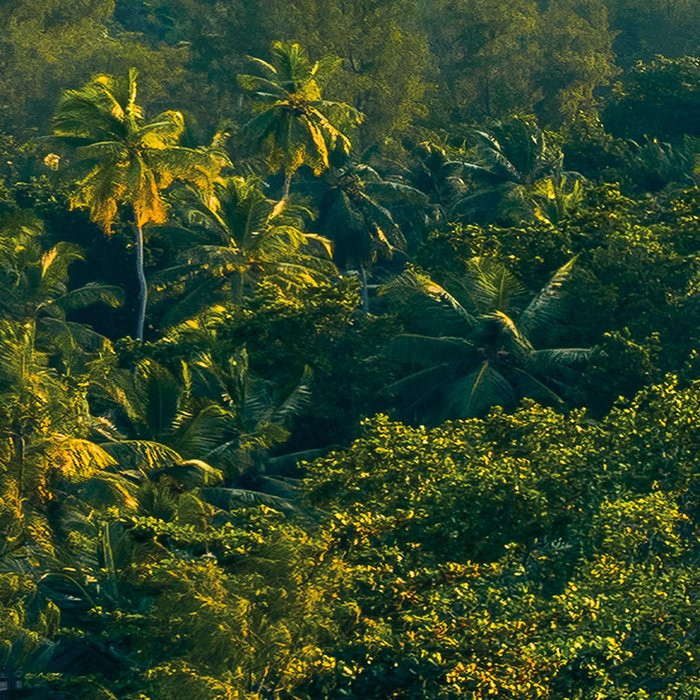 Golden Air