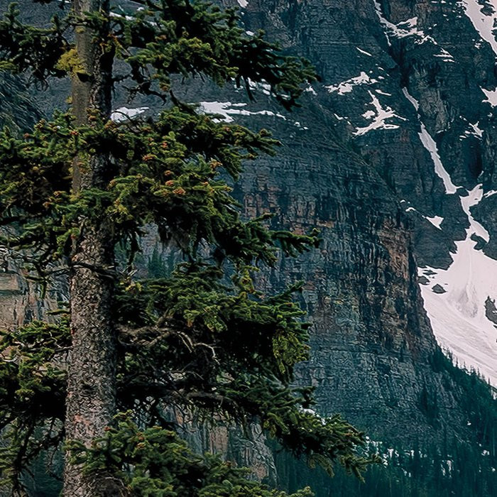 Magic Moraine Morning
