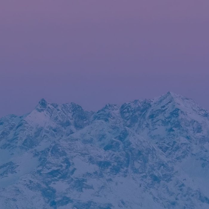 Purple Dinner