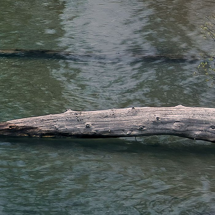 Spirit Island
