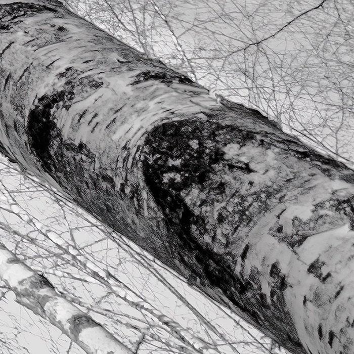 Weiss-Blau