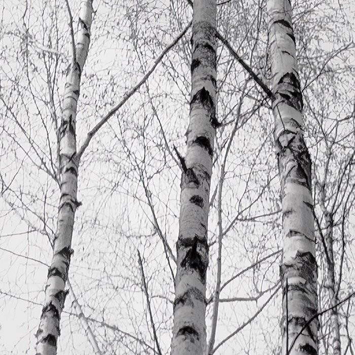 Weiss-Blau