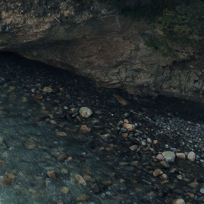 Wild Canada