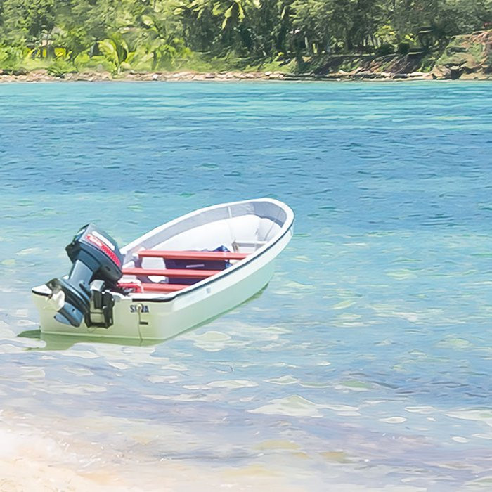 Fiji Dreams Boat 