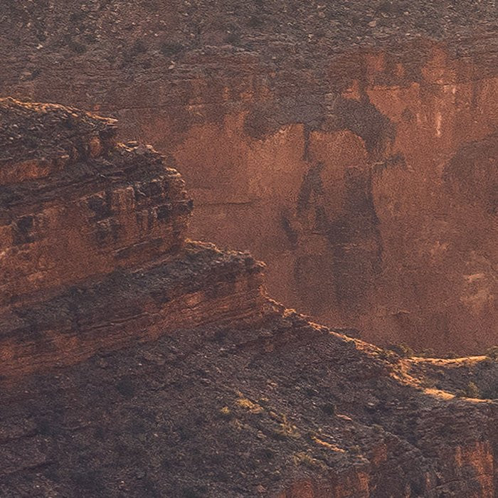 Grand Wonder 