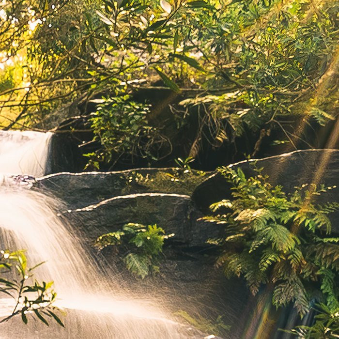Golden Falls