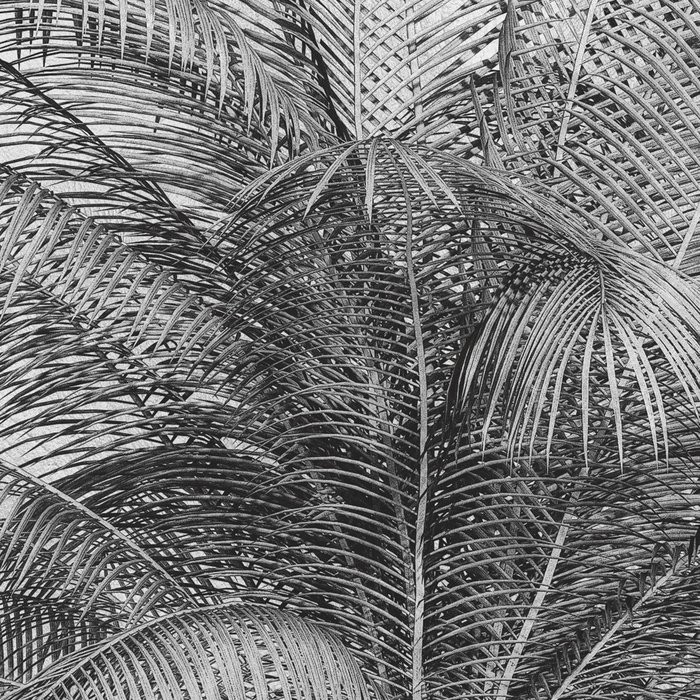 Coco Oasis
