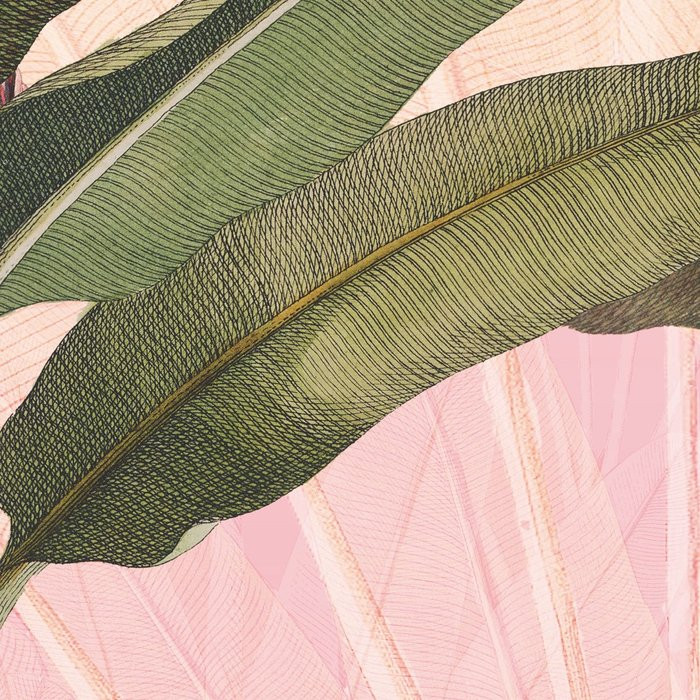 Plantation Rosé