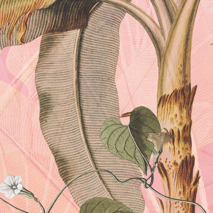 Plantation Rosé