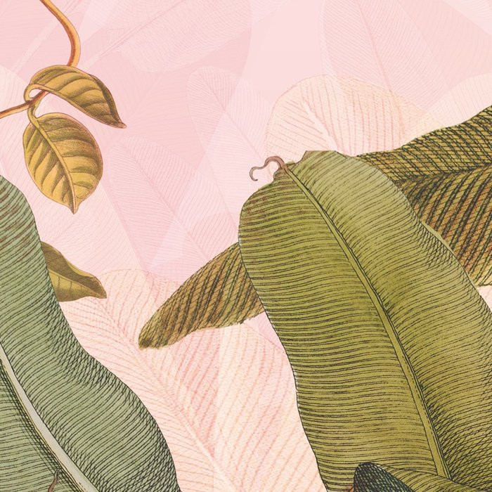 Plantation Rosé