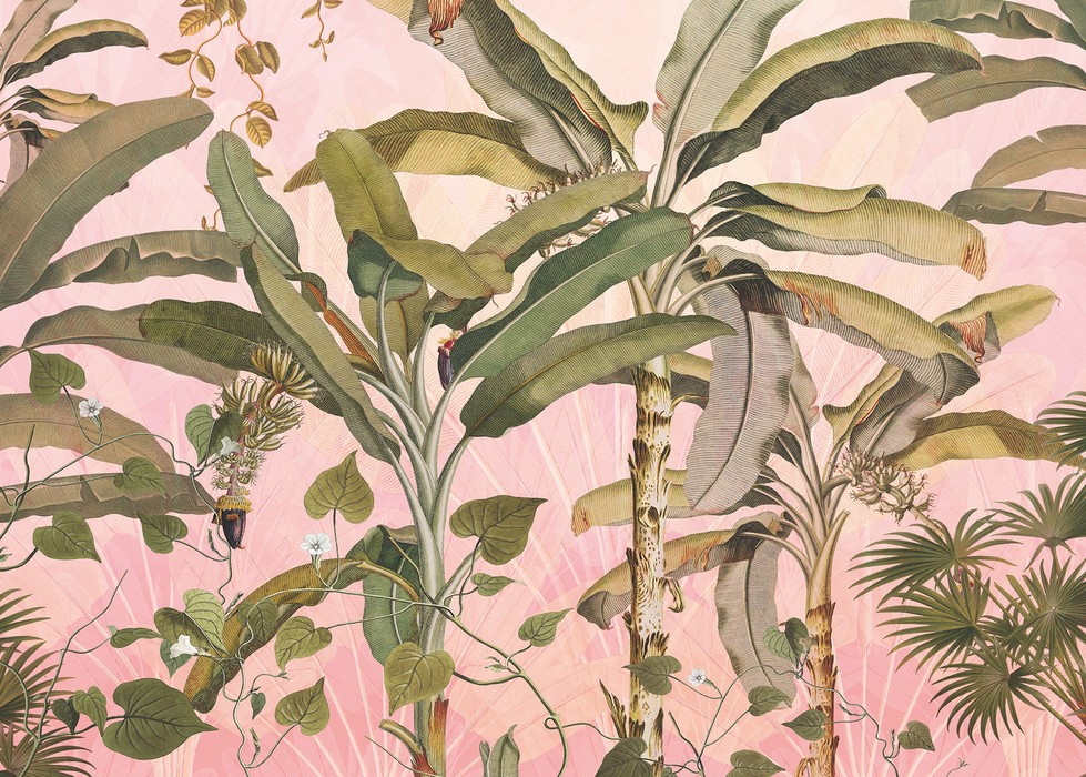 Plantation Rosé