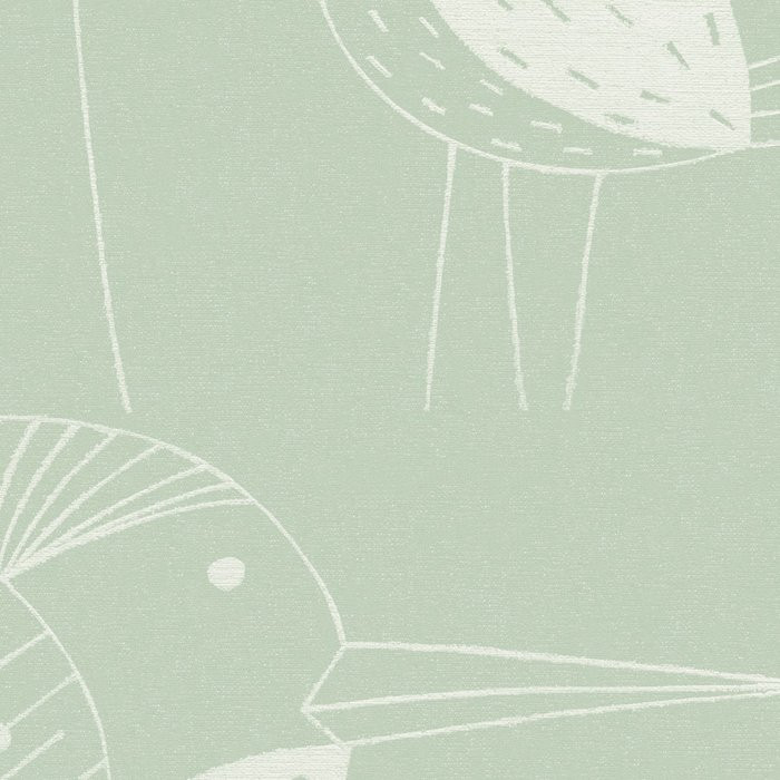 Naive Birds